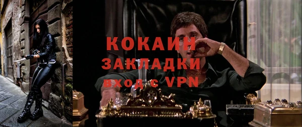 дурь Снежногорск